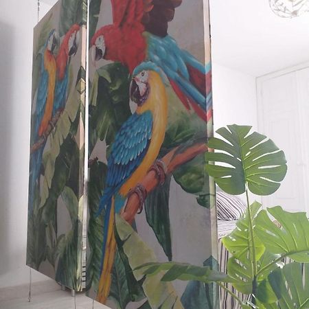 科拉雷侯Tropical Loft公寓 外观 照片